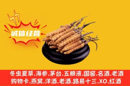 武威回收冬虫夏草